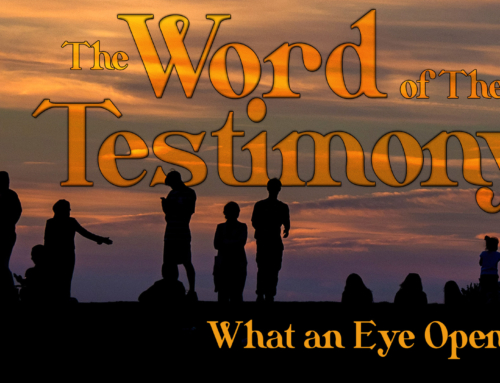 What an Eye Opener! – With Robin Morgan